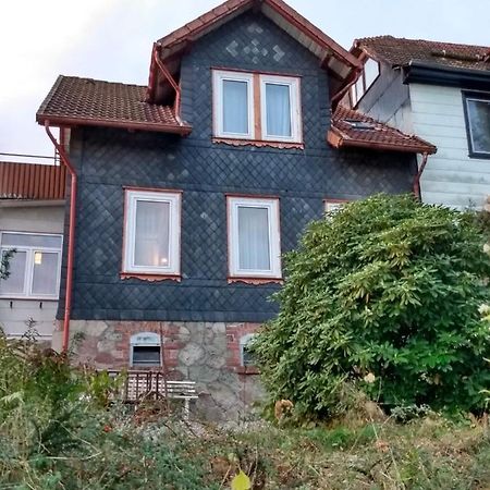 バート・ザクサ Vakantiehuis Juliaヴィラ エクステリア 写真